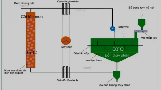 sản xuất ethanol từ rơm rạ