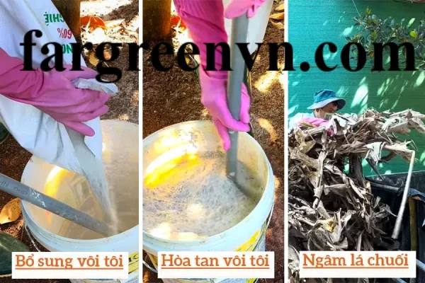 Cách trồng nấm rơm bằng lá chuối